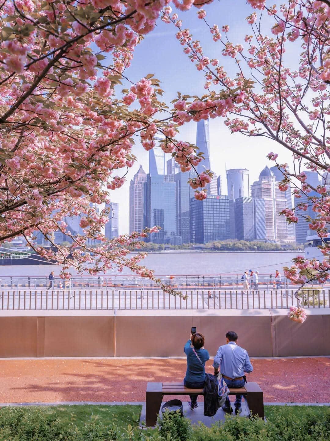 TOUR BẮC KINH - HÀNG CHÂU – Ô TRẤN - THƯỢNG HẢI (TẾT 2026)