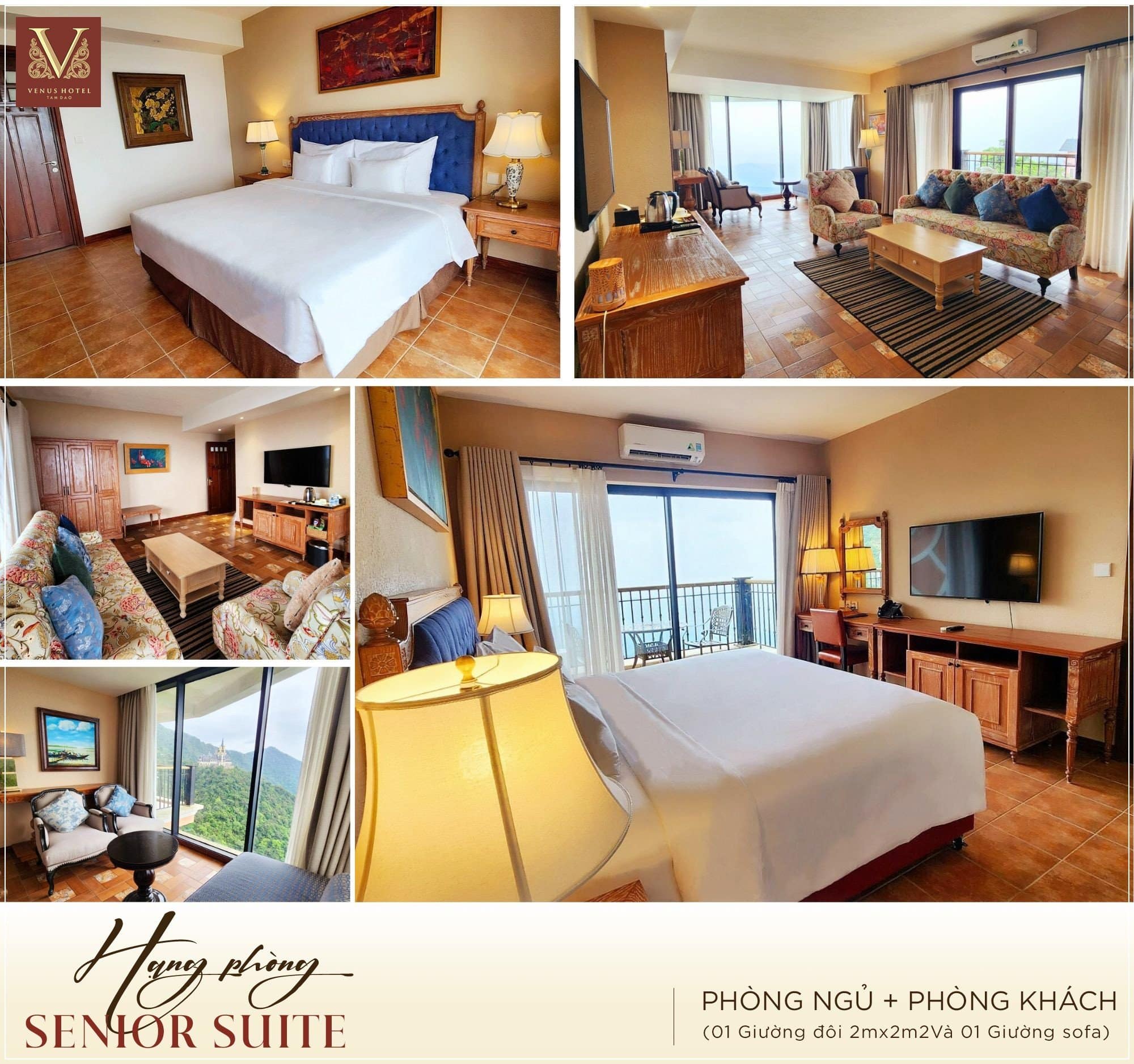 Senior Suite #1
