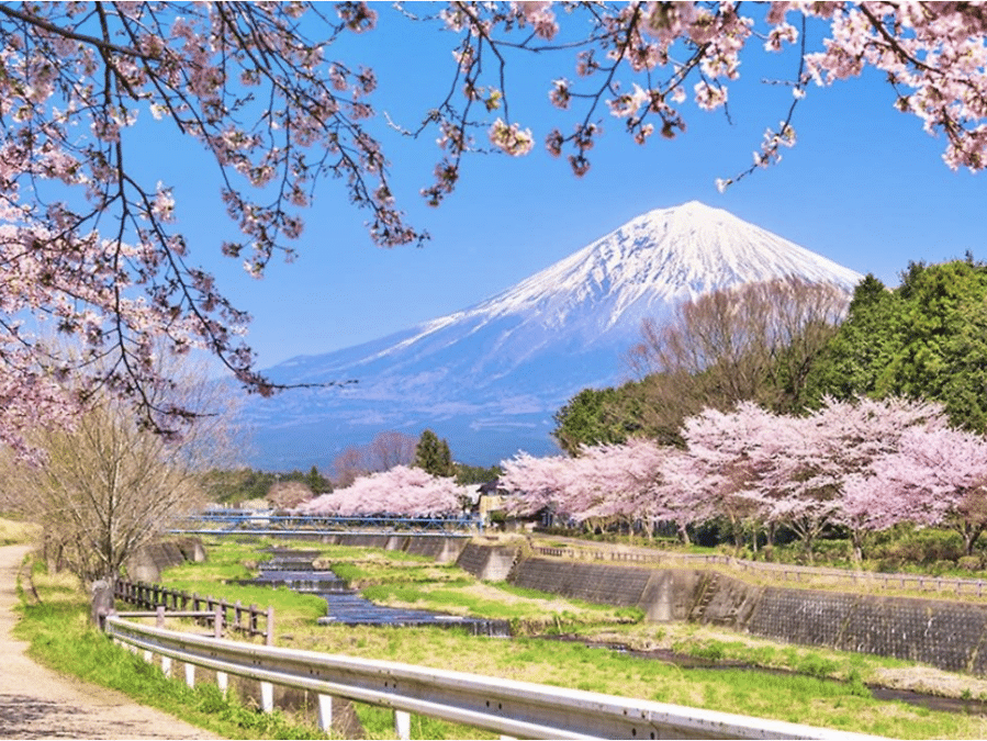 NÚI PHÚ SĨ - TOKYO