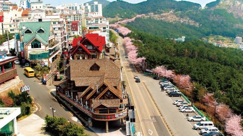 HÀ NỘI - SEOUL - NAMI - BUSAN- TÀU ĐIỆN - LÀNG VĂN HÓA GAMCHEON - NGẮM HOA ANH ĐÀO (6N5D) #4