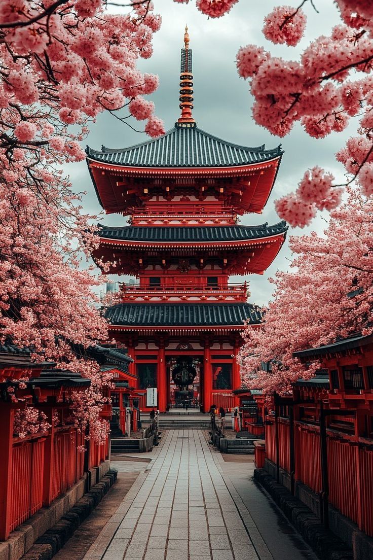 TOKYO - NÚI PHÚ SĨ - NAGOYA - KYOTO - OSAKA (6N5D)