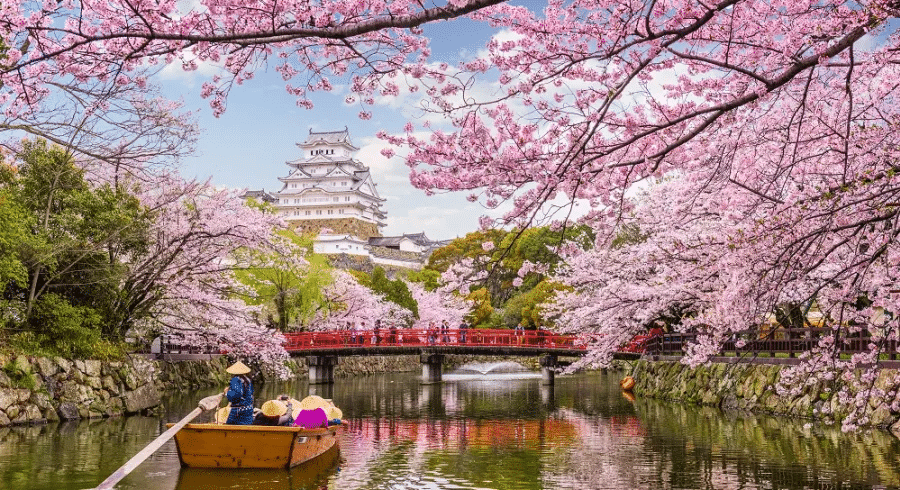 TOKYO - LỄ HỘI HOA ANH ĐÀO - ASAKUSA KANON - NARITA