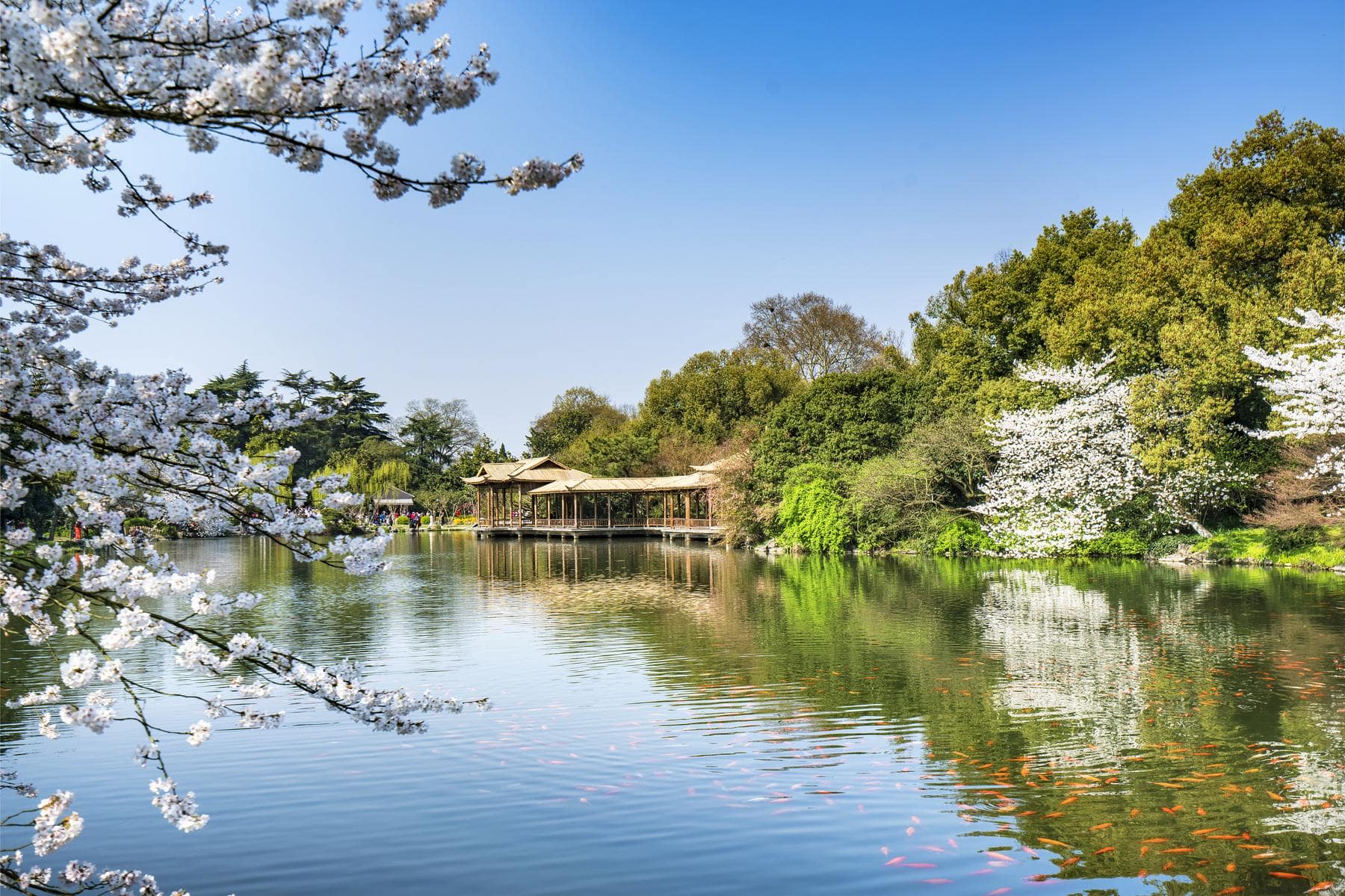 BẮC KINH - HÀNG CHÂU – Ô TRẤN - THƯỢNG HẢI (7N6Đ) #4