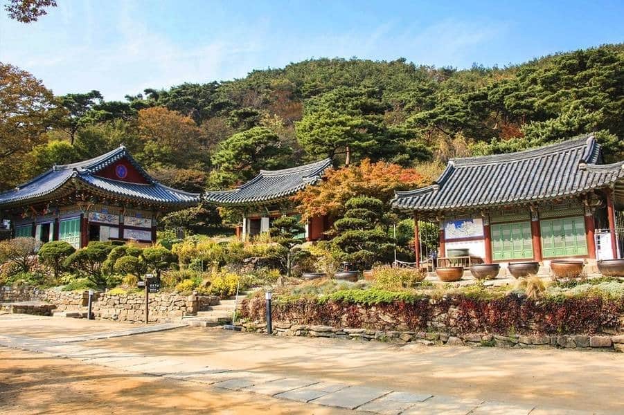 HÀ NỘI - BUSAN - SEOUL - ĐẢO NAMI – INCHEON - ĐI PHÀ CHO HẢI ÂU ĂN (6N5D)