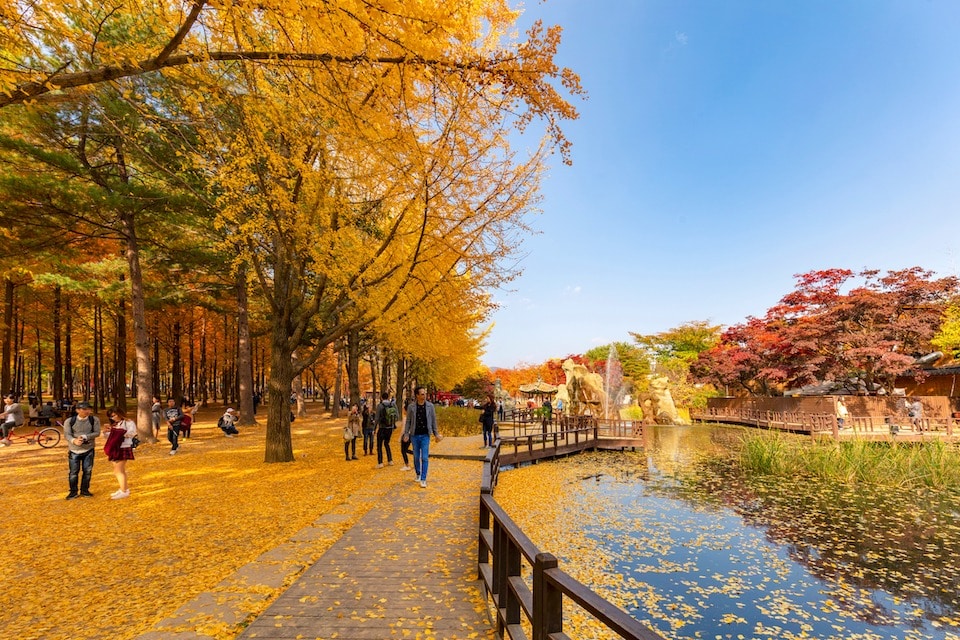 HÀ NỘI - SEOUL - NAMI - BUSAN - TÀU ĐIỆN - LÀNG VĂN HÓA GAMCHEON - NGẮM HOA ANH ĐÀO (6N5D) #4