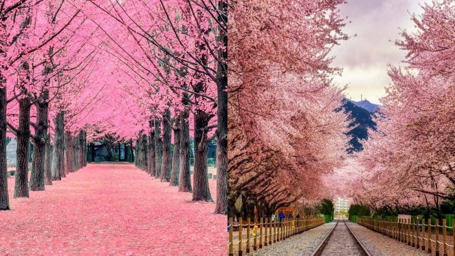 NAMI  ISLAND – N SEOUL TOWER