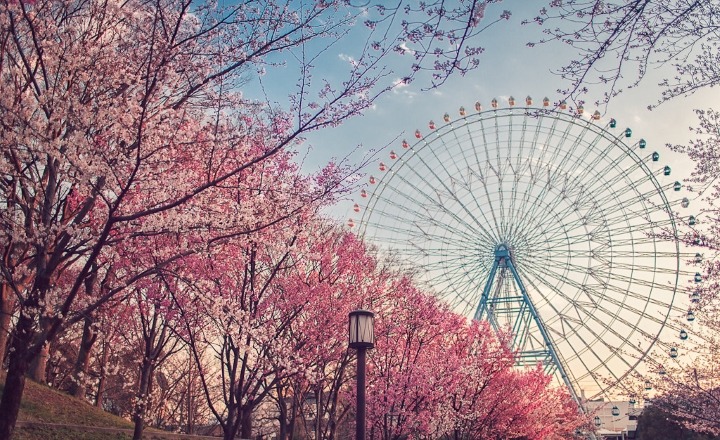 KANSAI – KOBE – OSAKA