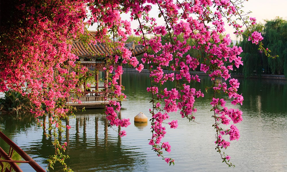 CÔN MINH – HÀ KHẨU – HÀ NỘI