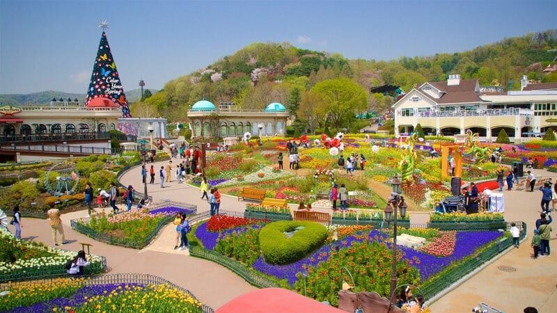 HÀ NỘI - SEOUL - NAMI - EVERLAND - PAINTER SHOW (5N4D)