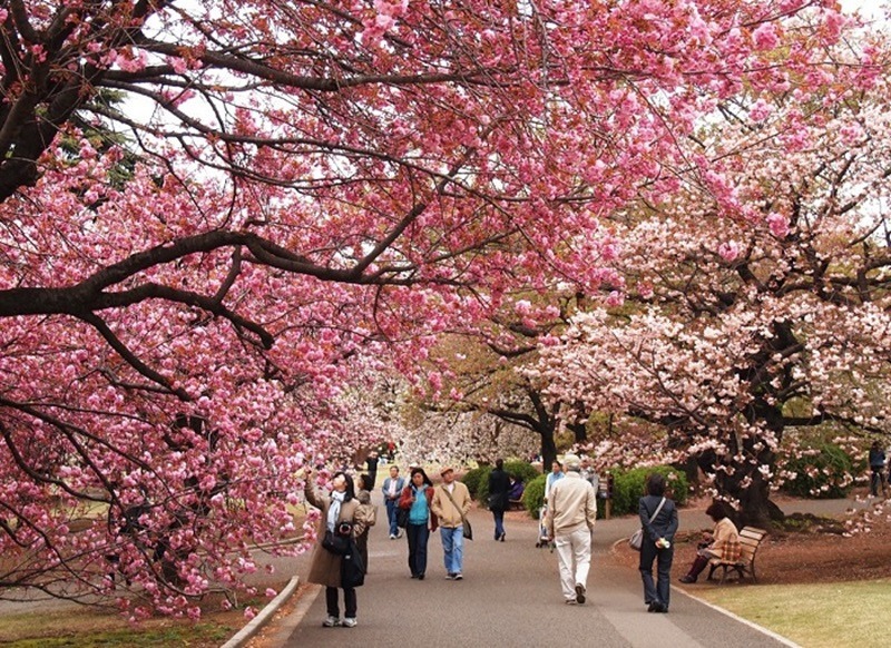 HÀ NỘI – SEOUL – NAMI – EVERLAND –THƯ VIỆN SÁCH - PAINTER SHOW (5N4D)