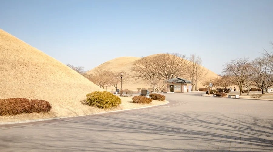 HÀ NỘI - BUSAN - SEOUL - ĐẢO NAMI - INCHEON - THƯ VIỆN SÁCH - ĐI PHÀ CHO HẢI ÂU ĂN (6N5D) #4