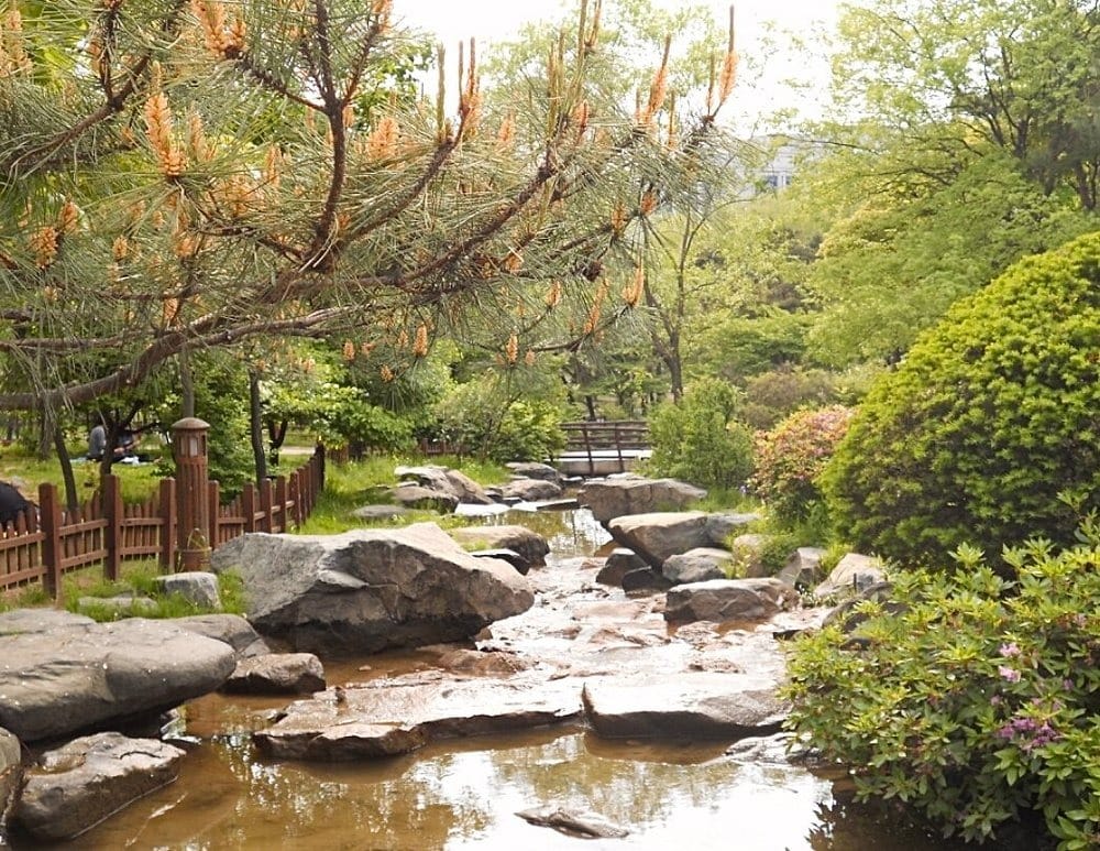 HÀ NỘI – SEOUL – NAMI – EVERLAND – NGẮM HOA ANH ĐÀO CÔNG VIÊN YEOUIDO – RỪNG SEOUL (5N4D)