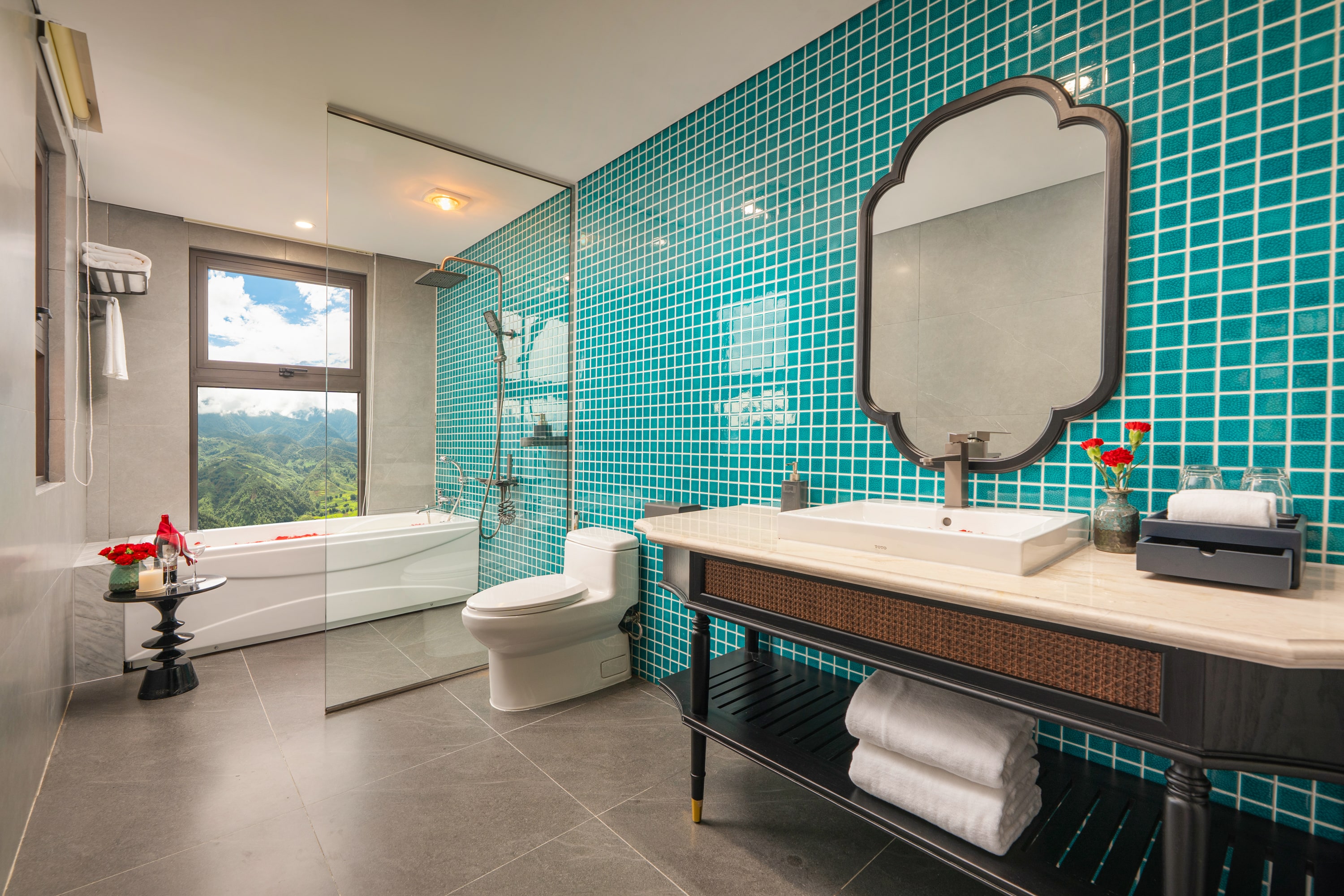 Premier Moutain View #5