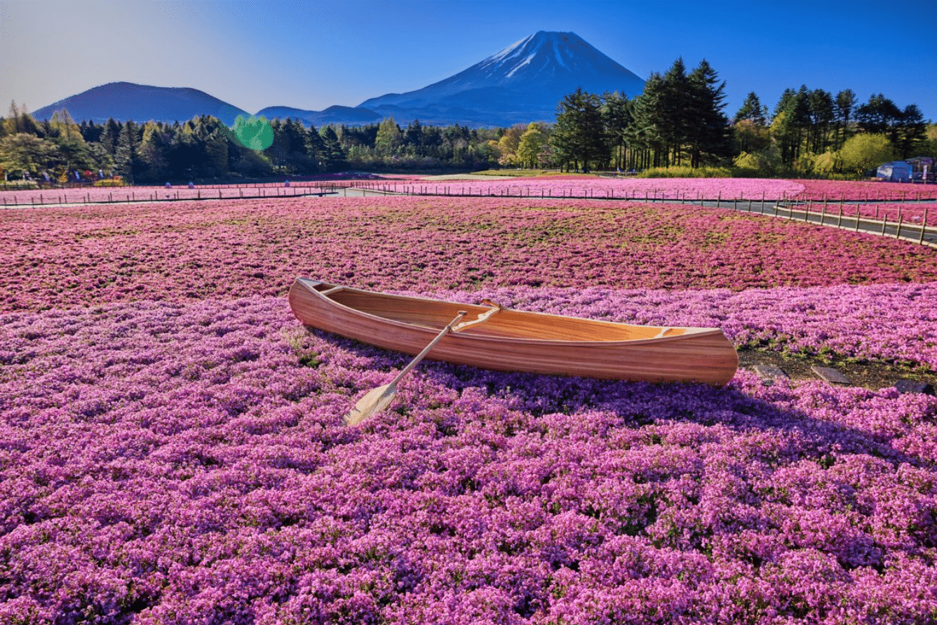 HÀ NỘI - OSAKA - KOBE - NAGOYA - KYOTO - NÚI PHÚ SĨ - LỄ HỘI HOA CHI ANH - TOKYO (6N5D)