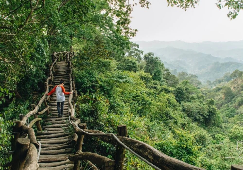 CAO HÙNG: PHẬT QUANG SƠN -LÀNG NHẬT BẢN HINOKI – ĐÀI TRUNG (ĂN SÁNG, TRƯA, TỐI)