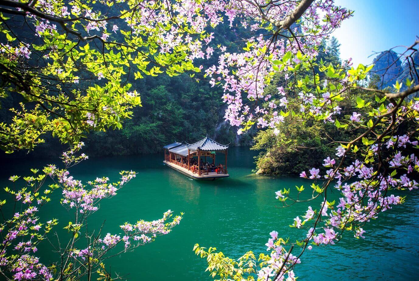 HÀ NỘI – TRƯƠNG GIA GIỚI - PHƯỢNG HOÀNG CỔ TRẤN –  MIÊU TRẠI MẶC NHUNG – RỪNG QUỐC GIA TRƯƠNG GIA GIỚI (6N5Đ)