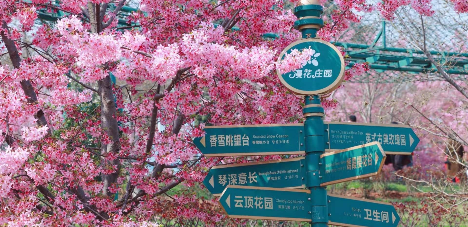 HÀ NỘI – THÀNH ĐÔ – CÔNG VIÊN MANHUA - CỬU TRẠI CÂU – LẠC SƠN ĐẠI PHẬT