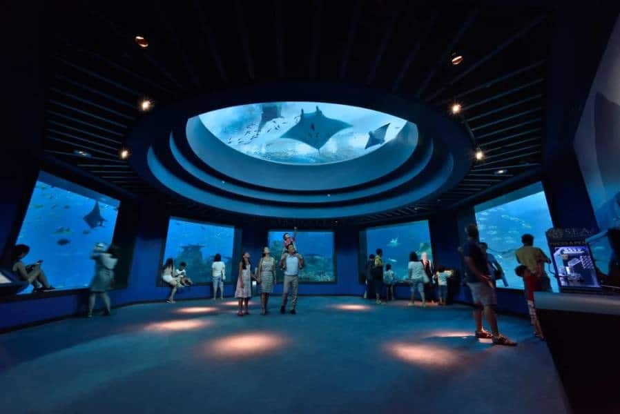 HÀ NỘI – SINGAPORE – MALAYSIA – HÀ NỘI