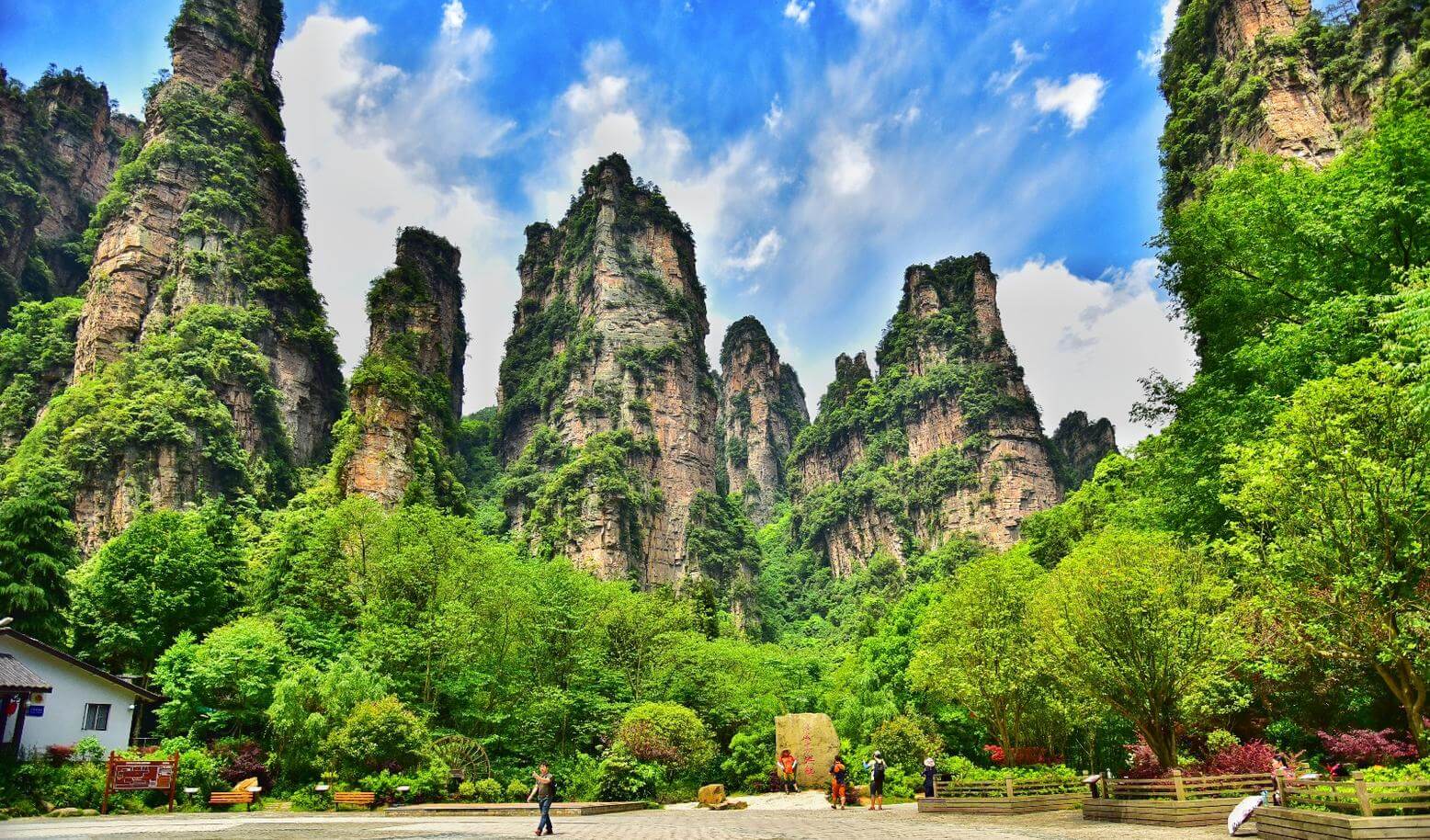 TRƯƠNG GIA GIỚI – RỪNG QUỐC GIA TRƯƠNG GIA GIỚI