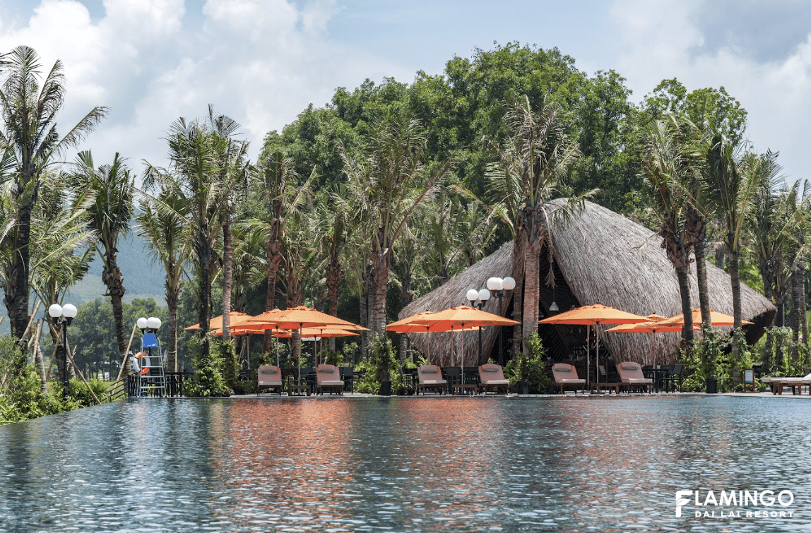 FLAMINGO ĐẠI LẢI #5