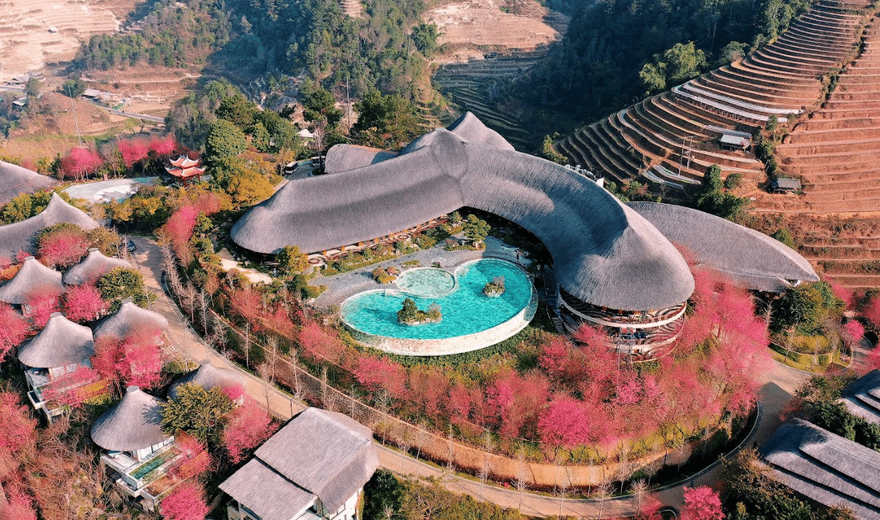 GARRYA MÙ CANG CHẢI