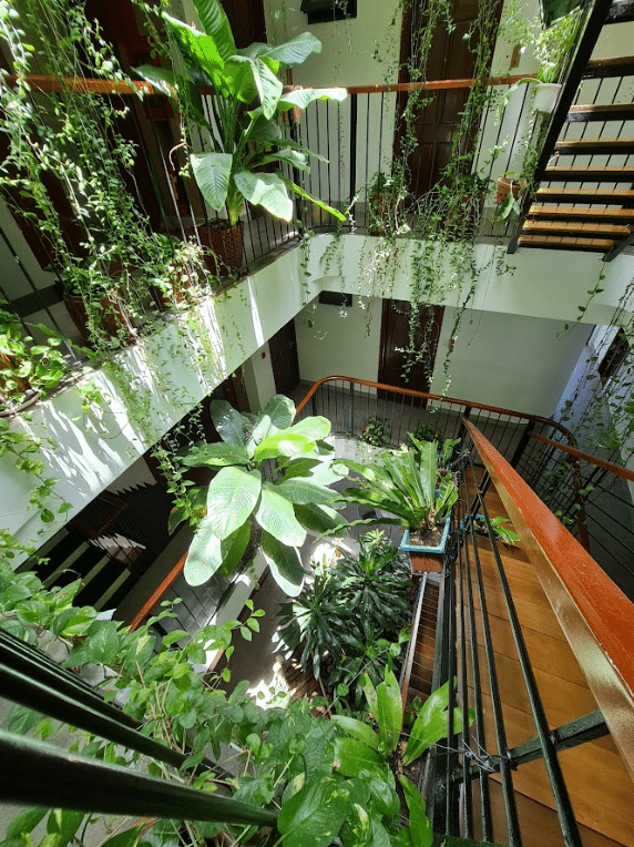 NICOBAR CÔN ĐẢO #5