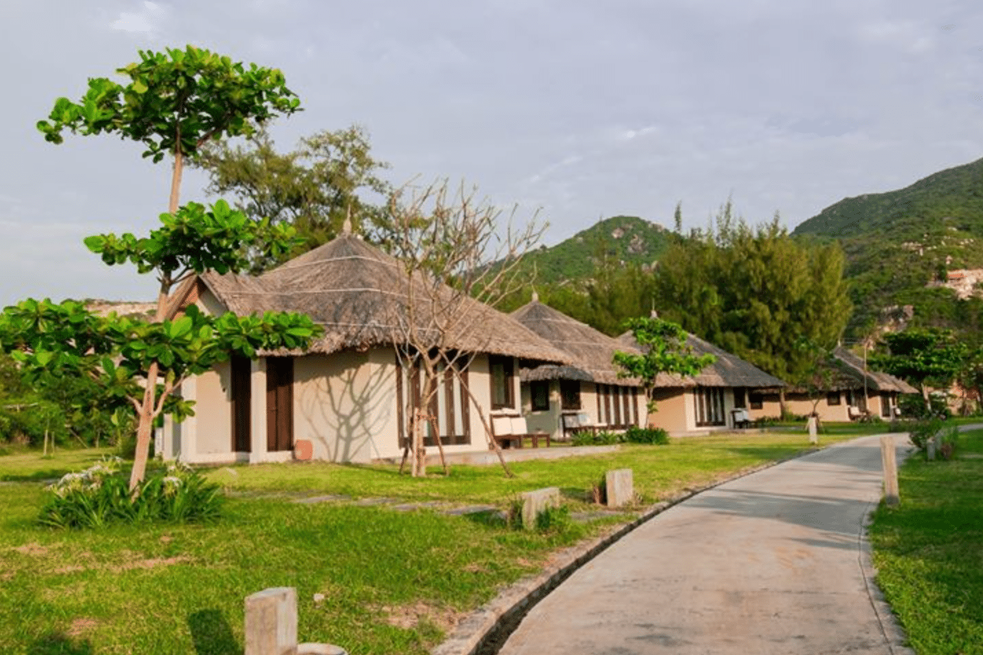 Standard Garden Bungalow #1