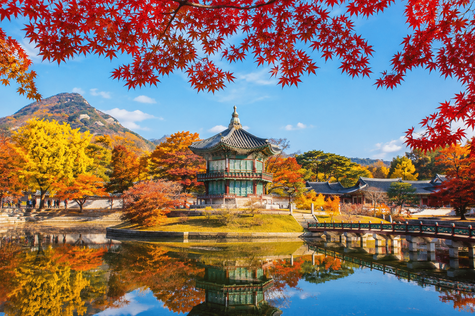 KHÁM PHÁ SEOUL – NAMI – EVERLAND: HÀNH TRÌNH ĐẸP NHƯ PHIM HÀN