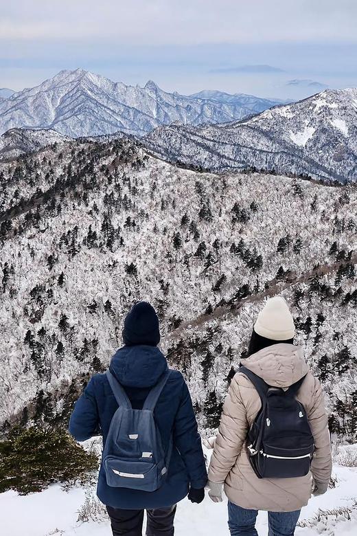 ❄️ SĂN TUYẾT Ở HÀN QUỐC CÓ GÌ VUI? MỘT NGÀY GIỮA MÙA ĐÔNG XỨ KIM CHI