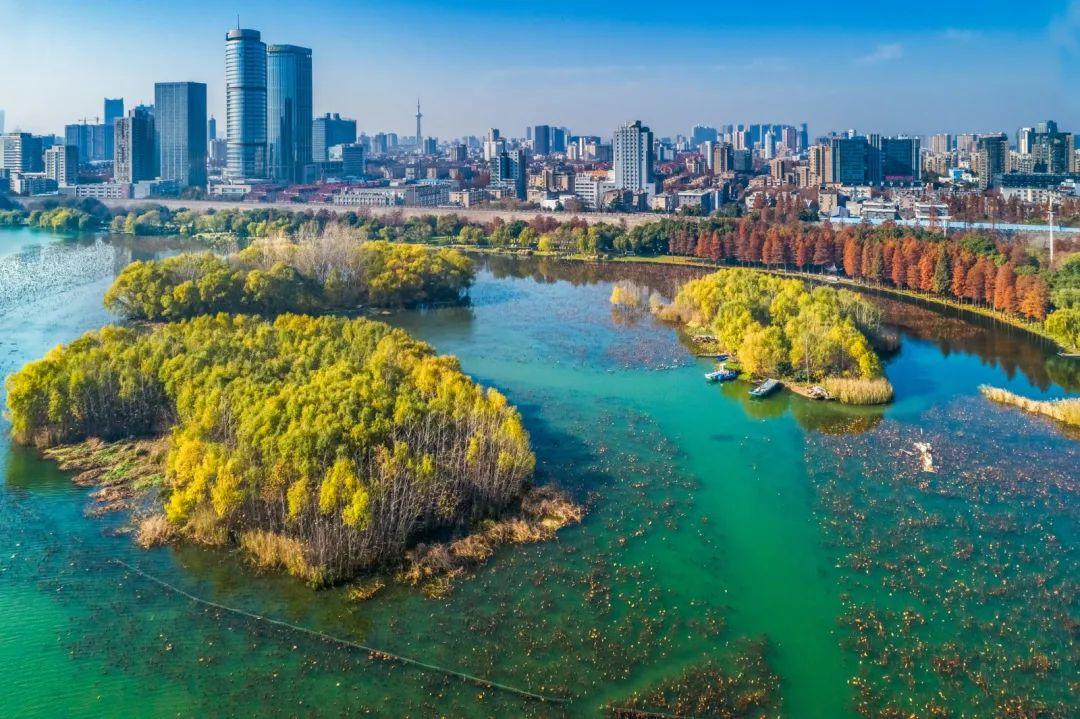 Xuanwu Lake