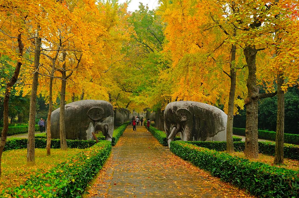 Shixiang Road cuối thu