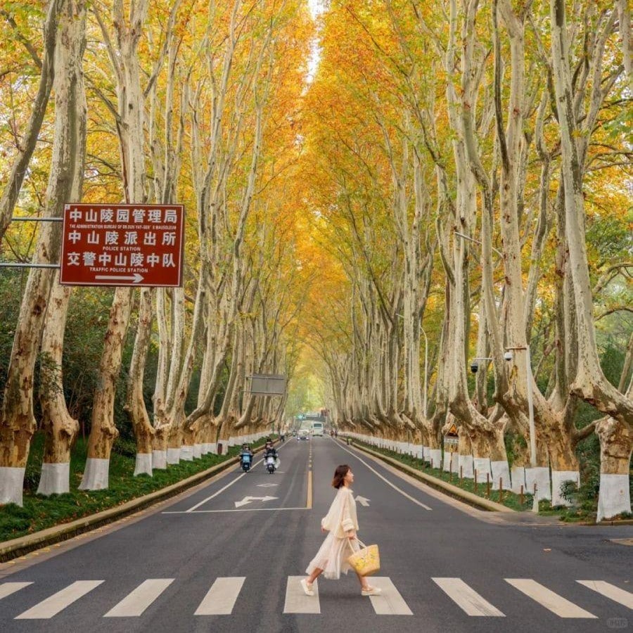 🍁 NAM KINH: THÀNH PHỐ ĐẸP KHI MÙA THU ĐI QUA